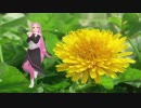 【MMD】メランコリック（UTAUカバー）【Mac音ココ［白］】