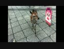 【実況】ドット絵ですらかわいすぎて惚れてしまうpart3【どとこい】