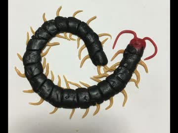 スイーツアート【ムカデ】作ってみた