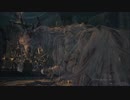 10週目全ボス全NPC狩りの夜、ゆっくり解説 7