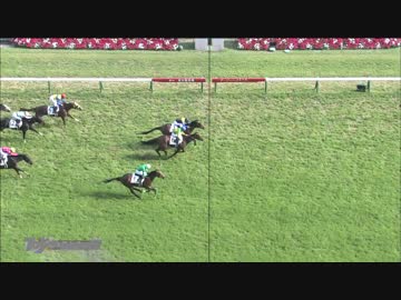 マカヒキ　日本ダービー【GⅠ】