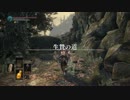 【PC】ダークソウル３ Part29【生贄の道編1】
