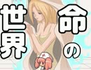 【実況】世界を渡り帽子を奪う帽子世界　その２５