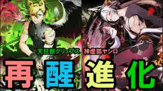 最速 ディバゲ グリュプス