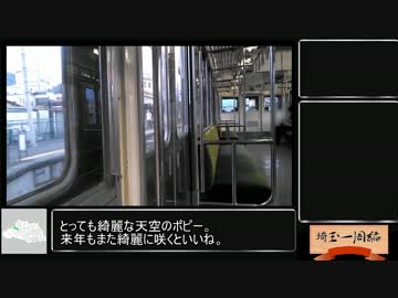 【ゆっくり埼玉一周旅行第１回・皆野】天空のポピーpart4