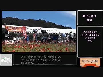 【三十路女の埼玉一周旅皆野編】天空のポピーpart2