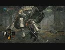 【PC】ダークソウル３ Part30【生贄の道編2】