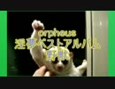 orpheus 淫夢ベストアルバム「野獣」