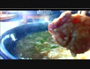 【飯テロ】　今日の「おはうどん」　20160530