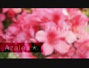 [Electropop] Azalea* (オリジナル曲)
