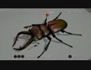 【ぼくのなつやすみ3】田舎に泊まろう！　実況14【初夏だけど】