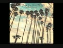Distance Between Us  /  Young Gun Silver Fox