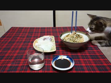 アウトドアをやろう！「山菜採って夕飯食べるぞ」 in 八丈島