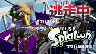 【スプラトゥーン】逃走中をイカでやってみた inマサバ海峡大橋【実況】