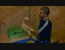 Stray cats in Saudi Arabia get a second chance
