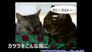 【ハゲカラ】 まちぶせ 【替え歌】
