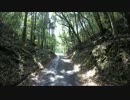 薩摩川内市祁答院　県道391号線　463号線
