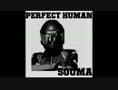 PERFECT SOUMA