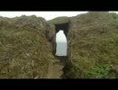 徳之島ゆう歩道 犬の門蓋編