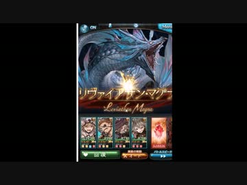 【非AT】リヴァマグ討伐【2T】