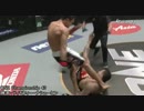 【格闘技】2016年5月度MMAベストノックアウト【KO】