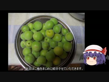 ゆっくり農民33梅を育ててみませんか？＃2