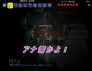 【青龍の】レオナルドの冒険【テラリア実況】07