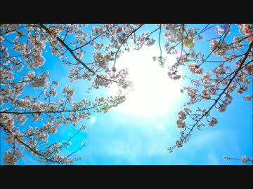 Virga Jesse 【Byrd】