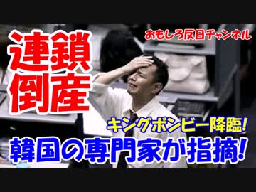 【韓国第２のアジア通貨危機】 韓国専門家が予言する未来！