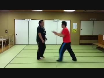 ホモと学ぶ護神拳