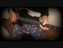 Red Hot Chili Peppers-Dark Necessities Bass Cover