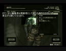 【MGS3】これは、スニーキンニクミッションだⅢ【２人実況】part25