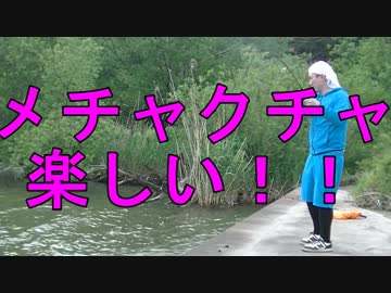 【オトナも遊ぼう】アメリカナマズ釣ろーZE！【Catch and Eat】