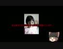 ゆっくり　簡単にscpについて話す　その19
