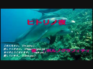 歌ってみた：ヒトリノ夜『東北アメジ』