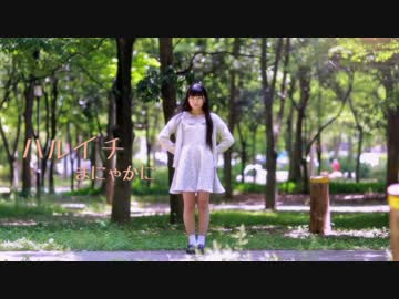 【☆まにゃかに☆】ハルイチ。　踊ってみた　【まだ春】