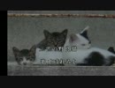 【猫ソング】三匹の野良猫【ボカロオリジナル曲】