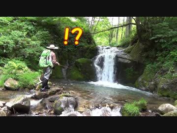 【アウトドア】山奥の滝壺で尺イワナ釣ったった。