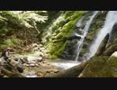渓流釣りがしたくなって・・・エサ釣りとルアー編