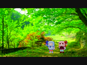 ゆかマキ巻き　～さんまきめ～