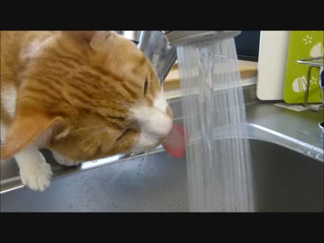 蛇口から流れる水が飲めず、最後にとった行動は・・・