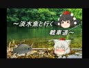 【WoT】淡水魚と行く戦車道27匹目【FV3805】