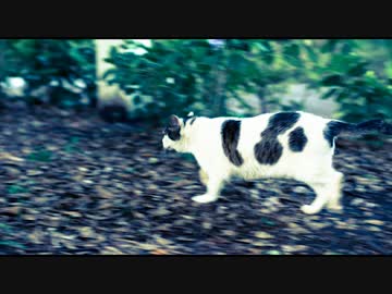 【オリジナル】 永遠の旅