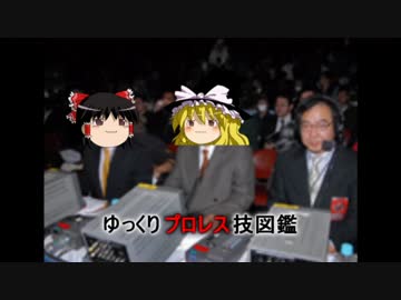 ゆっくりプロレス技図鑑（仮）　その4