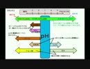 【水槽126】水草水槽のｐH調整