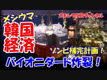 【韓国造船破壊】 日本政府がついに動いた！