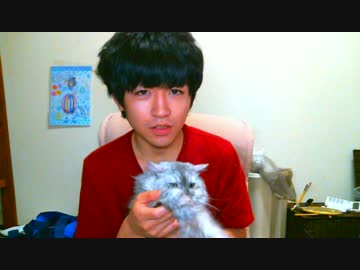 猫の爪を切ってあげた