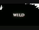 【MMDうたプリ】WILD