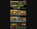 【パズドラ】ゼウス・ディオス マルチ 五右衛門 周回パ