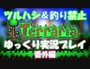 [Terraria steam]ツルハシ＆釣り禁止プレイ　其３１（番外編）[ゆっくり]